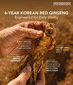 Hand holding a 6-year Korean Red Ginseng with text about its cultivation and safety testing.